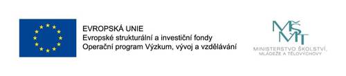 inkluze1